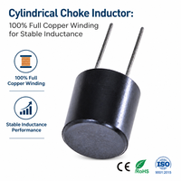Inducteur à noyau traversant 2 broches, bobinage entièrement en cuivre, inductance stable, bobine de filtrage pour circuit d'alimentation SMPS