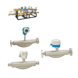 Penyuplai E + H preline Promass F 500 F 300 pengukuran aliran Endress + Hauser Coriolis pengukur aliran massa Harga untuk minyak dan Gas - Product Image 2