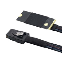 Câble adaptateur M.2 M Key NVMe 2260 vers Mini SAS SFF-8087, câble de conversion de stockage interne pour serveur PCIe 4.0