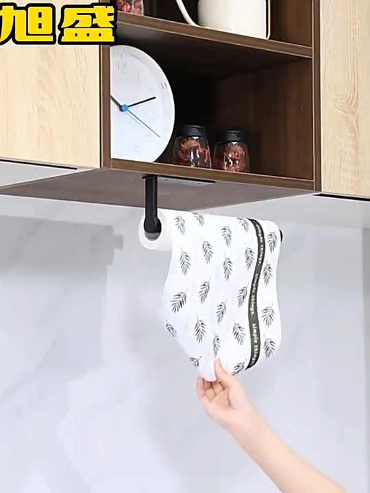 DS1724 Stainless Steel under Cabinet Paper Towel Rack