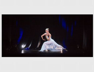 Kích thước lớn hạt tiêu ma chiếu <span class=keywords><strong>Hologram</strong></span> lá cho sự kiện, hệ thống chiếu ba chiều - Product Image 3