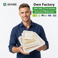 Assiette à sushi en bois jetable, 100 % biodégradable, écologique, de qualité alimentaire, sans BPA, résistante à la chaleur, certifiée FDA