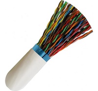 Haute qualité CCA CU CCS conducteur câble téléphonique approvisionnement d'usine multi paires 25 paires 50 paires CAT 3 Standard pour la Communication