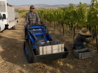 Minipala cingolata compatta 976 kg con cingoli in gomma, benna da 0,12 m³, minidumper 240 kg per agricoltura, giardinaggio e edilizia