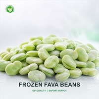 Fave Intere Surgelate IQF per Linee di Produzione di Piatti Pronti e Alimenti Preconfezionati, Fornitura di Ingredienti all'Ingrosso dalla Cina