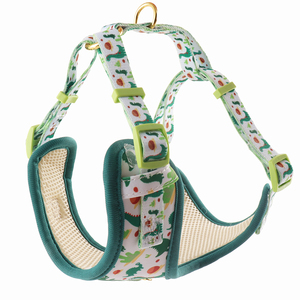 Kain Neoprene lembut jaring anjing langkah dalam rompi pola desainer <span class=keywords><strong>Harness</strong></span> anjing dan Set tali untuk Chihuahua, <span class=keywords><strong>Yorkie</strong></span>, berjalan di luar ruangan - Product Image 1