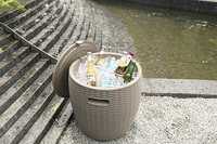 Boîte de rangement extérieure 2 en 1 pour boissons et bière de jardin