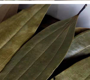 Hojas de Laurel Indio Secas Naturales, Tejpat Malabathrum, <span class=keywords><strong>Cinnamomum</strong></span> Tamala - Product Image 5