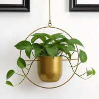 Jardinière suspendue en métal à cadre circulaire |   Pot de fleurs suspendu noir et or durable |   TIKAFE Style Simplicité Mural Intérieur