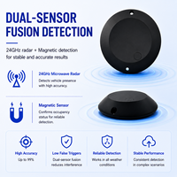 Système de détection de véhicules sans fil intelligent 4G LTE Cat-M LoRa NB-IoT pour la gestion du stationnement en rue