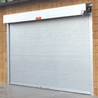 TOMA di alluminio rimboccarsi porta elettrica porta avvolgibile per industrial garage
