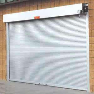 Puerta enrollable de aluminio de TOMA, persiana eléctrica para garaje industrial