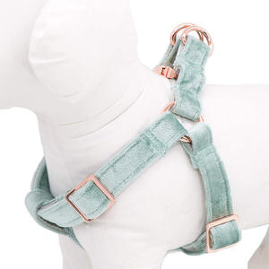 Harnais réglable de luxe personnalisable en velours Teddy pour chiot Harnais pour chien personnalisé rouge - Product Image 2