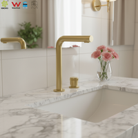 Robinet de lavabo en acier inoxydable 304, bouton progressif, finition brossée, court, mitigeur de lavabo, robinet de lavabo Watermark