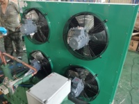 Unité de condensation basse température 5hp 8hp 10hp 12hp 15hp avec pompe, composants essentiels du moteur, unité de compresseur pour chambre froide