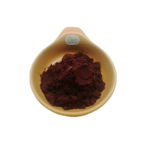 Порошок экстракта черники с 25% натурального антоцианина - Product Image 2