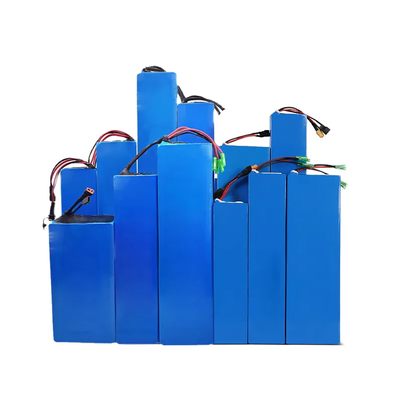 12V 24V 36V 12Ah 15Ah 30Ah 50Ah Lithium-Ionen-E-Bike-Akku Li-Ionen-Akku für Elektro roller