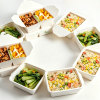 Boîte à lunch jetable en papier, compartimentée, avec revêtement PE anti-graisse, pliable, pour plats à emporter, bento, salades, poulet frit, repas légers, street food, pique-nique