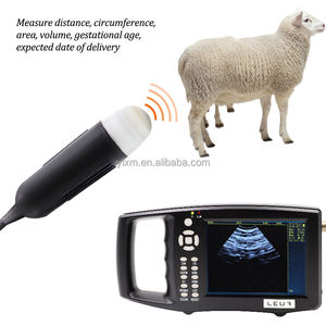 Appareil vétérinaire portable pour tester la grossesse des truies, des moutons, des porcs, scanner à ultrasons B pour porcs, porcs, chèvres - Product Image 2