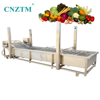 Automatische roestvrijstalen fruit- en groentewasmachine met motor voor noten, capaciteit 500-1000 kg/uur
