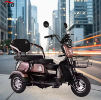 Scooter électrique pour adultes, tricycle, quad pour la conduite urbaine, peut transporter trois personnes, frein à disque 1000W