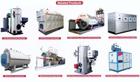 Generator Uap Otomatis Vertikal 200Kg 700Kg Berbahan Bakar Biomassa Kayu dan Batubara untuk Boiler Industri