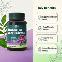 Capsules d'extrait de feuille de Banaba en marque privée OEM, 300 mg par dose, 120 capsules végétariennes, antioxydant et soutien général au bien-être