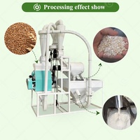 Sécheur rotatif à grains de manioc Grainmaker Spin Flash Dryer 30, 2 tonnes par heure, moulin à farine de maïs pour machine à Karachi