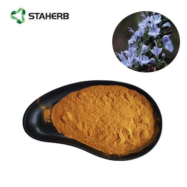 rosemary extract rosmarinic acid 5% powder