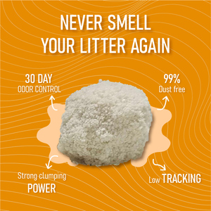 Lettiera per Gatti in Cassava, a Base Vegetale, Forma Sferica, Lettiera in Cassava Frantumata, Agglomerante Rapida, Non Appiccicosa - Product Image 6