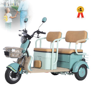 60v 20Ah 1000W Qualité Forte Puissance 3 Roues Triciclo Electrico Cargo Trike Tricycle Électrique pour Personnes Âgées - Product Image 1