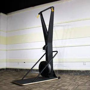 New Design Indoor Cardio Fitness Trainer Ski Machine