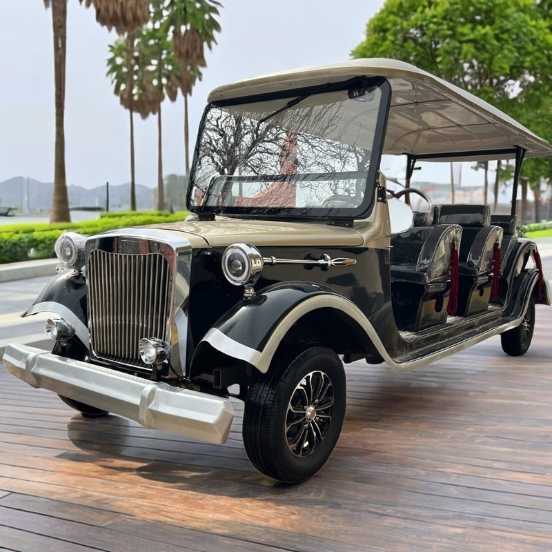 Electric Golf Cart Sightseeing Bus 11