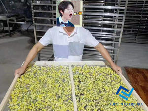 Séchoir à fruits Offre Spéciale déshydrateur de nouilles végétales machine de séchage des aliments séchoir à fruits séchoir à viande de fruits - Product Image 4