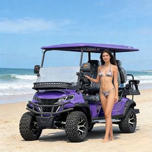 Bus touristique et voiture 4x4, voiturette de golf électrique de luxe 6 places - Product Image 2