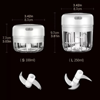Usb 250/100Ml Vlees Ui Knoflook Groente Chili Mincer Oplaadbare Draagbare Stamper Druk Mini Elektrische Knoflook Chopper