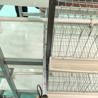 Ferme de volailles au design moderne Cage manuelle Cage à volailles en métal pour l'élevage de volailles avec ceinture à fumier Cage à poulets de type H vente