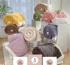 2024 Hot <strong>Sale</strong> Wholesale Plush Fluffy Warm Autumn/Winter Microfiber Breathable Velvet Fleece Comforter/<strong>Duvet</strong>/Quilt/Blanket - Product Image 4