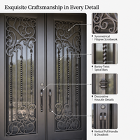 Porte d'entrée double en fer forgé moderne avec motifs torsadés, panneaux de verre, porte de sécurité pour villa aux États-Unis, taille personnalisée