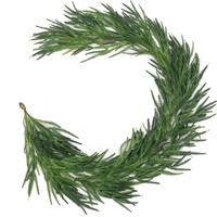 Guirlande de Noël en pin Norfolk, best-seller IF 5000, couronne de pin Norfolk