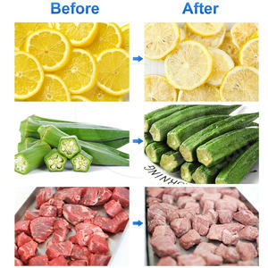 OCEAN Fruit Freeze Dryer Machine Mini Instant Coffee Lyophilizer <strong>Scorpion</strong> Venom Sublimation Dryer for Food - Product Image 6