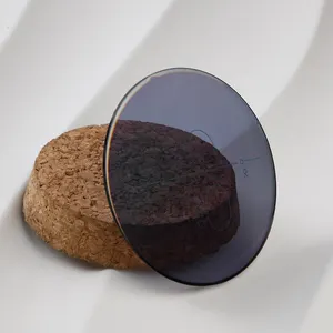 1.56 포토그레이 RX 자유 형태 프로그레시브 광학 안경 광변색 코팅 광학 안경 렌즈