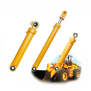 Benutzer definierte Farbe Variation mit doppelter Amplitude Teleskop halterung söl Automobile Lifting <span class=keywords><strong>Oil</strong></span> Hydraulik zylinder - Product Image 1