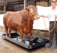 Bmt — équipement de volaille pour animaux, bain de pieds en plastique de haute qualité, nettoyage du bétail et de la maison, 2m