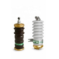 Parafoudre à oxyde métallique DGG pour protection contre les surtensions électriques en extérieur