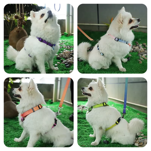 Fabricante, precio al por mayor, lujo, superventas, moda personalizada, <span class=keywords><strong>collar</strong></span> de nailon para perro, correa, arnés, productos para mascotas, característica acolchada - Product Image 2