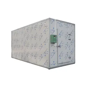 China Cold Room Blast Freezer Blast Freezer Chiller Refrigerated Cold Room For Sale