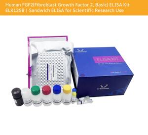 Kit ELISA pour le Facteur de Croissance des Fibroblastes 2 (FGF2, Basique) humain ELK1258 |   ELISA sandwich pour la recherche scientifique - Product Image 1