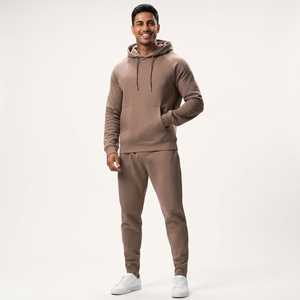 Ensemble Jogging de Haute Qualité 100% Coton Motif Uni Effet Vieilli Écologique Sweat à Capuche et Pantalon de Jogging Appliqué Taille Plus Survêtements d'Hiver - Product Image 1