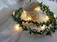 10/20/40 Leds Guirlande Lumineuse Rose Fleur Feuille Verte Rotin Lampe LED pour Mariage ou Anniversaire Fête de Noël Utilisation
